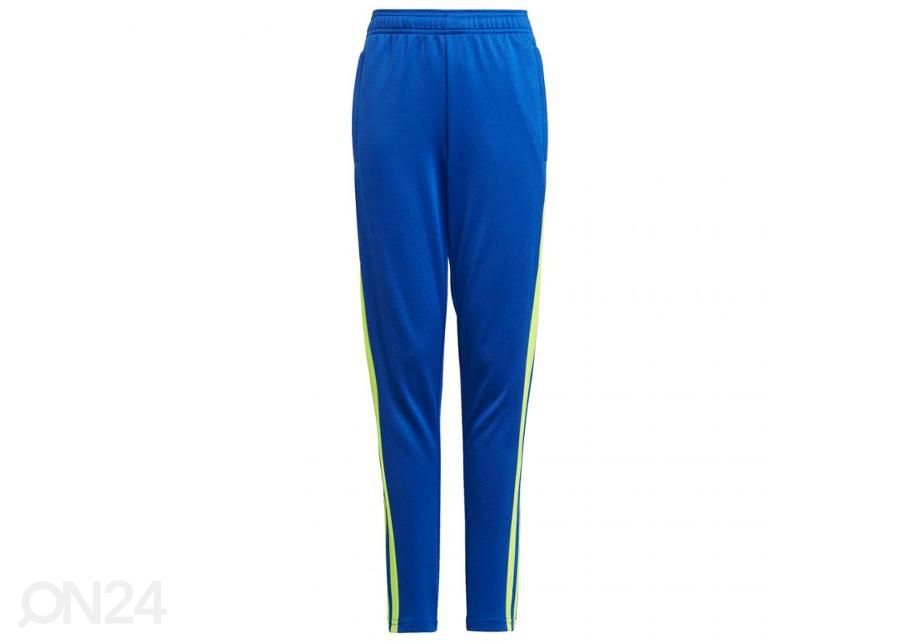 Lasten verryttelyhousut Adidas Squadra 21 Training Pant Youth kuvasuurennos