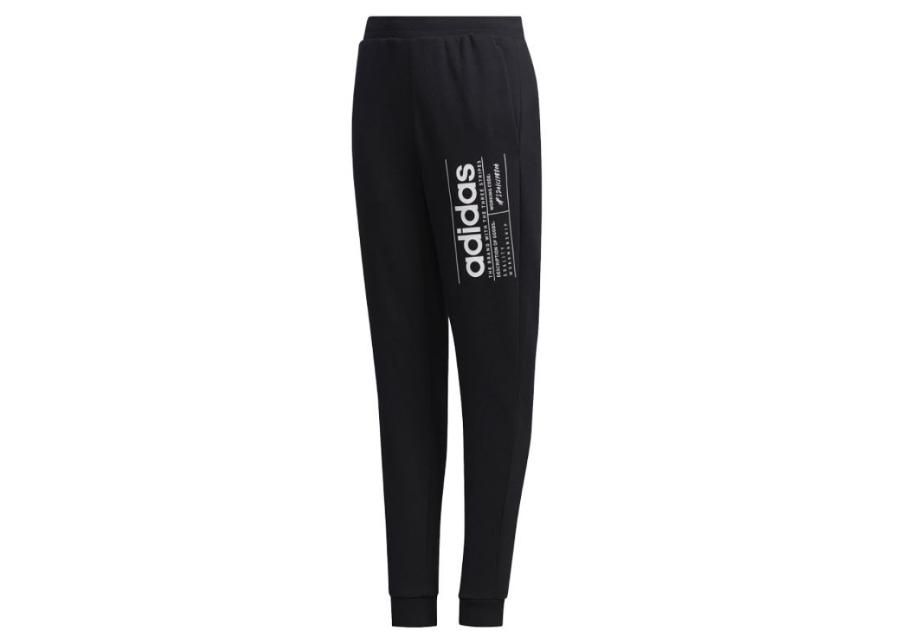Lasten verryttelyhousut Adidas Youth Boys Brillian Basic Junior FM0786 kuvasuurennos