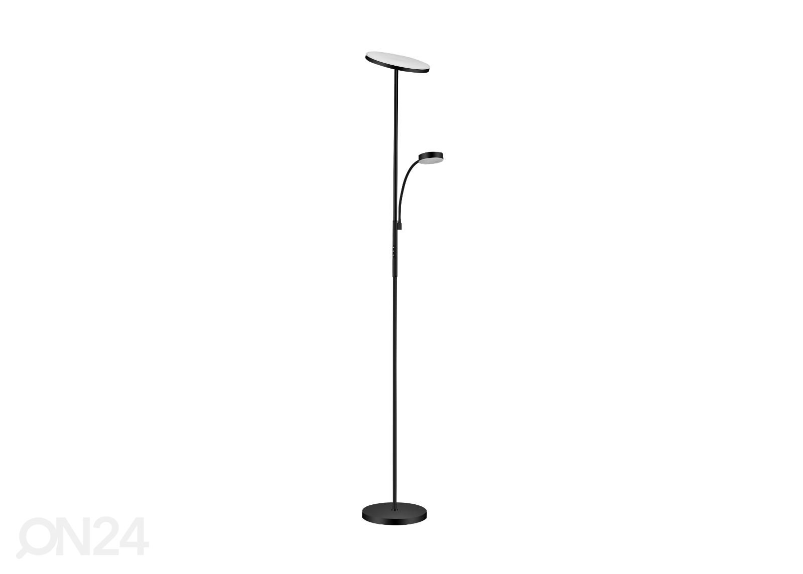 Lattiavalaisin Aris kuvasuurennos