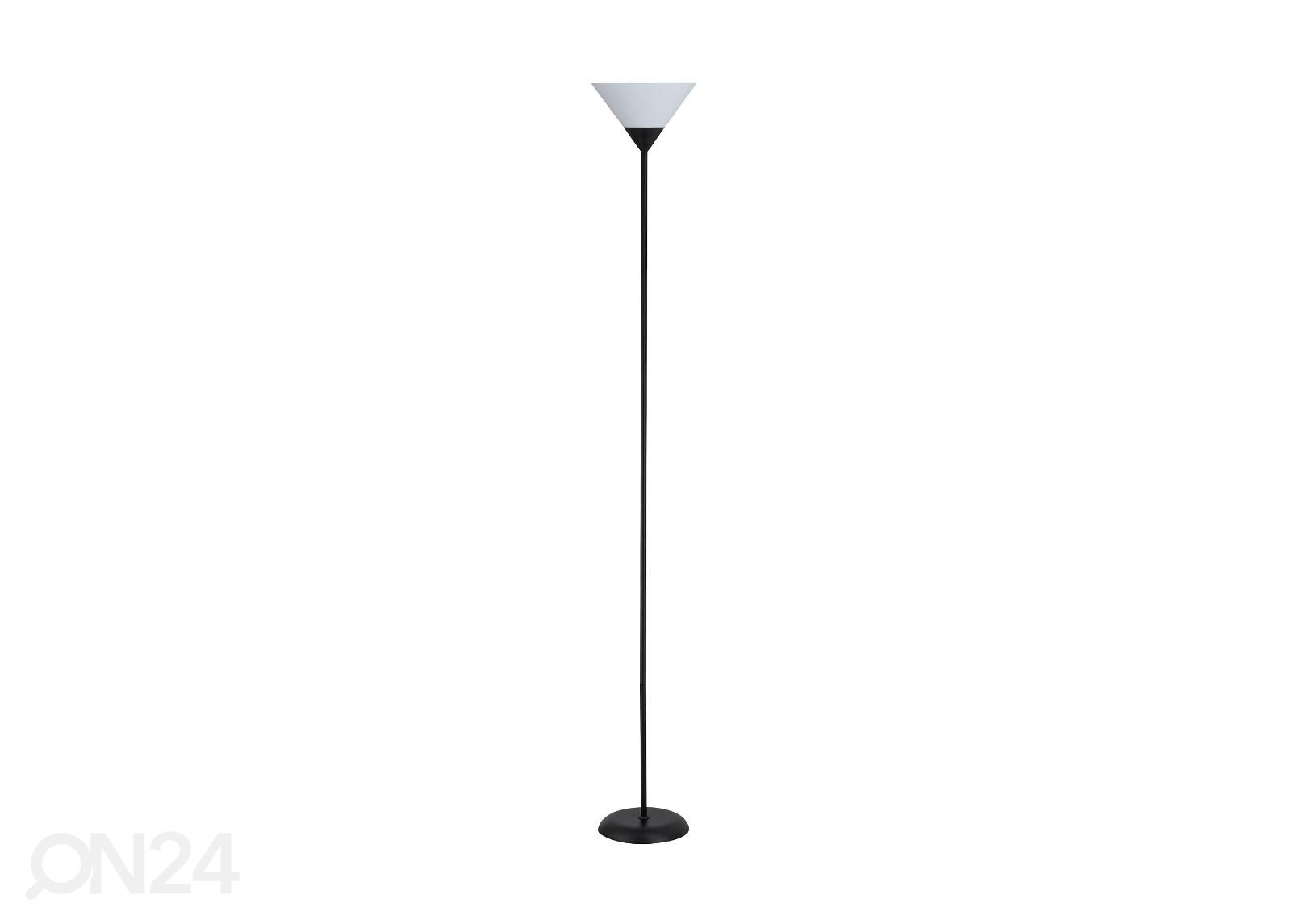 Lattiavalaisin Moren Black kuvasuurennos