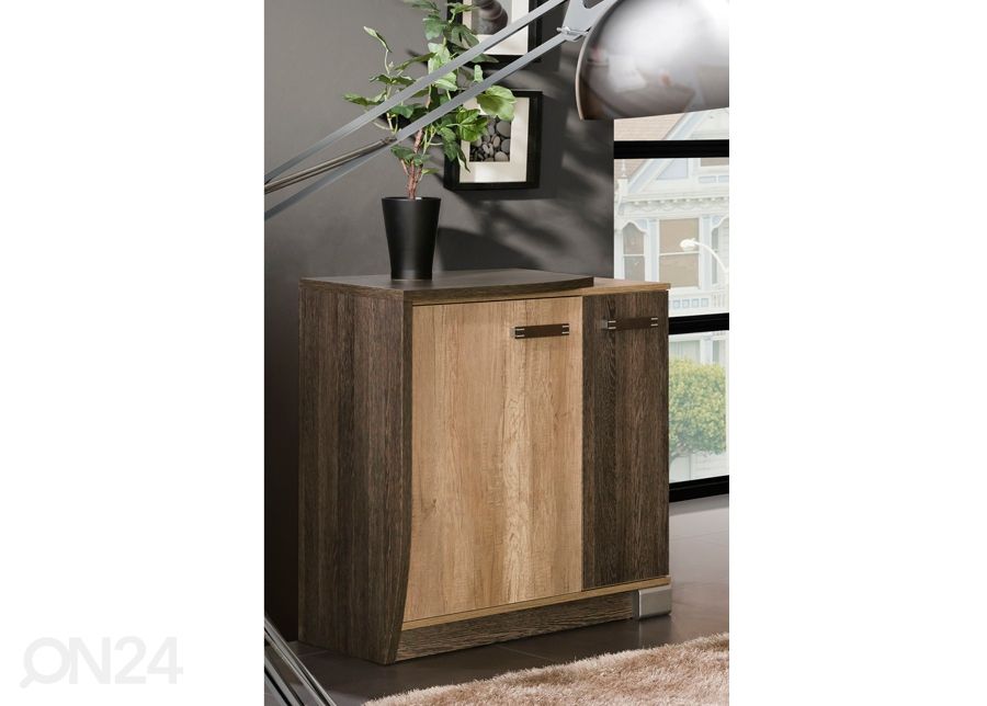 Lipasto R16L kuvasuurennos