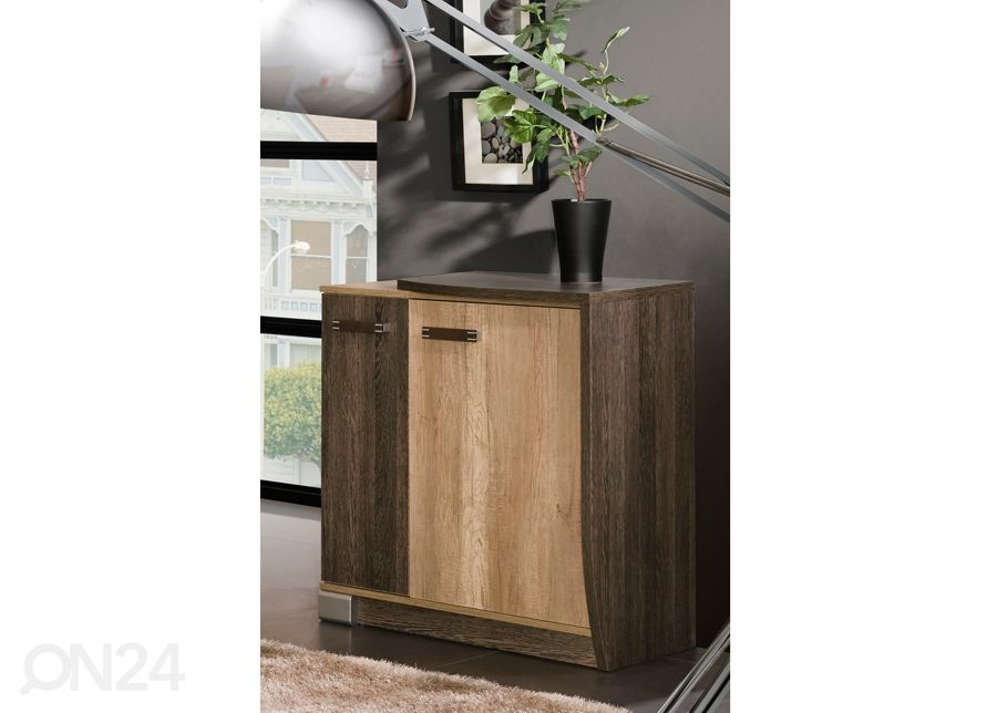 Lipasto R16P kuvasuurennos