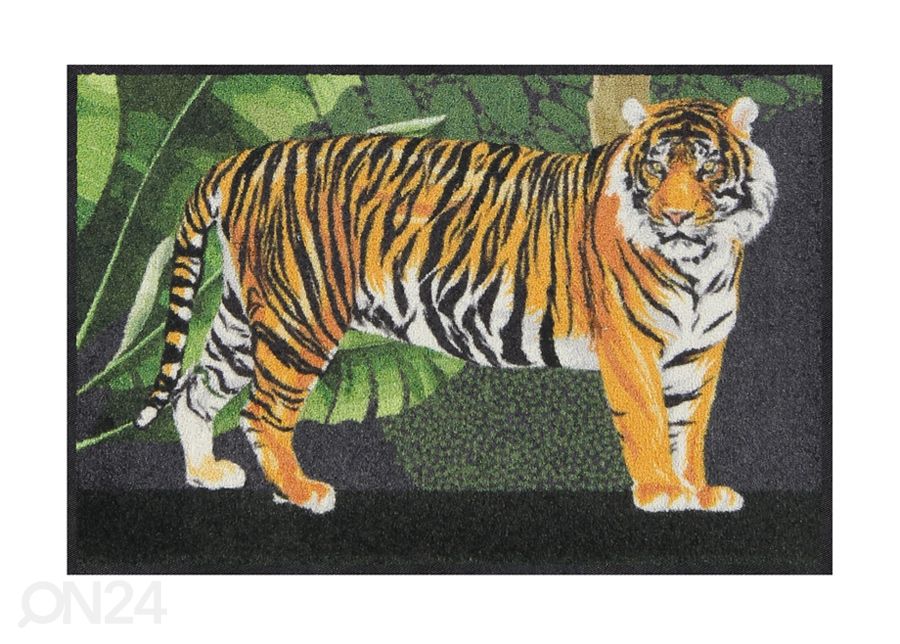Matto Tiger 50x75 cm kuvasuurennos