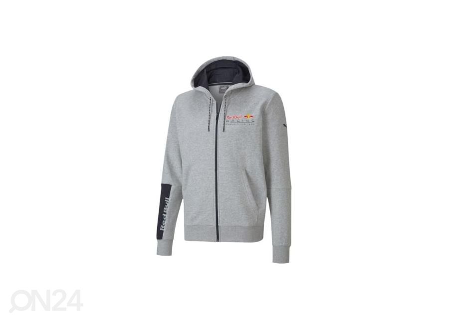 Miesten huppari Puma Essentials Big Logo kuvasuurennos