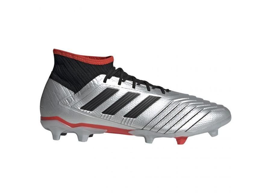 Miesten jalkapallokengät nurmelle Adidas Predator FG 2,19 M F35601 kuvasuurennos