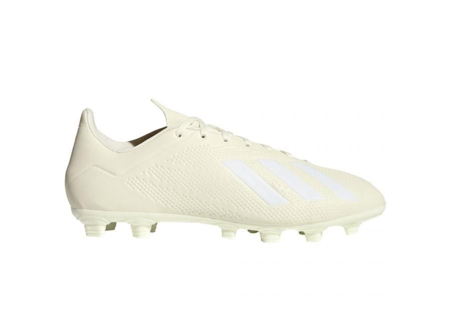 Miesten jalkapallokengät nurmikentälle Adidas X 18.4 FG M DB2187 kuvasuurennos