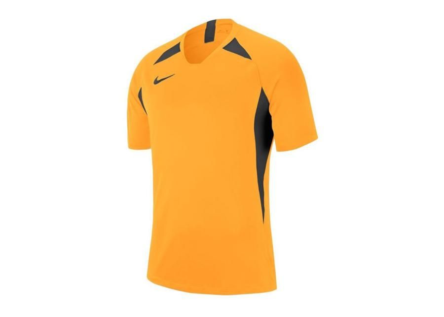 Miesten jalkapallopaita Nike Legend SS Jersey M AJ0998-739 kuvasuurennos
