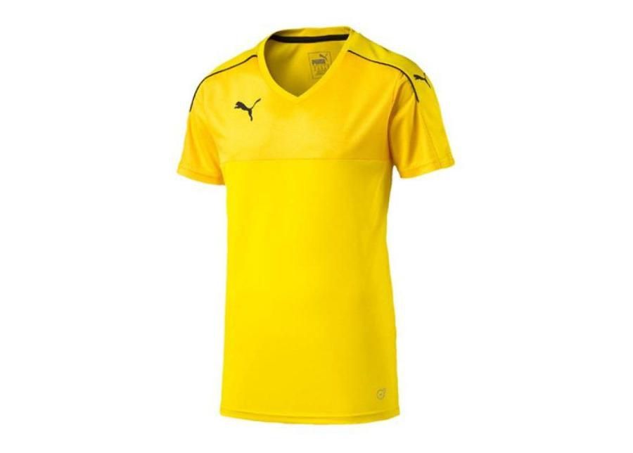 Miesten jalkapallopaita Puma Accuracy M 702214-07 kuvasuurennos