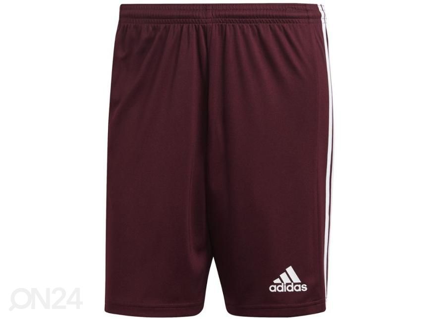 Miesten jalkapalloshortsit Adidas Squadra 21 Short kuvasuurennos