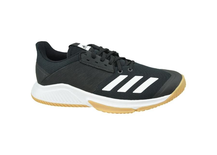 Miesten lentopallokengät adidas Crazyflight Team M D97701 kuvasuurennos