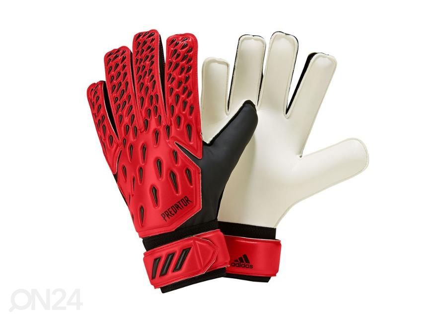 Miesten maalivahdin hanskat Adidas Predator Training kuvasuurennos