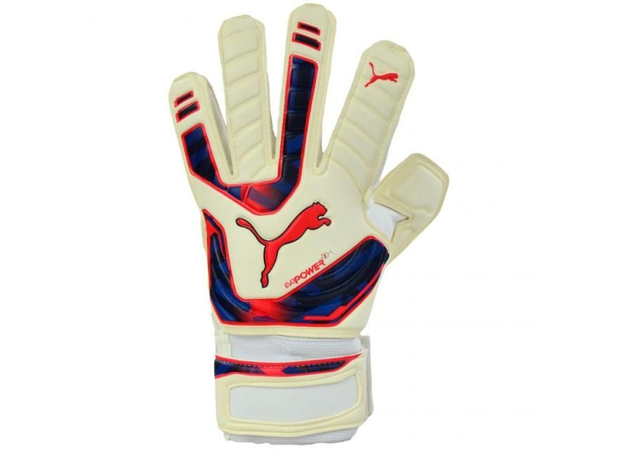 Miesten maalivahdin hanskat Puma Evo Power Grip 2 RC 40998 15 kuvasuurennos