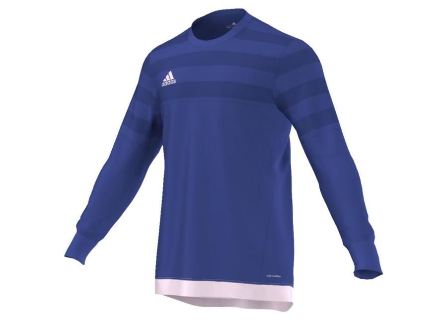 Miesten maalivahdin paita Adidas ENTRY 15 GK M AP0325 kuvasuurennos
