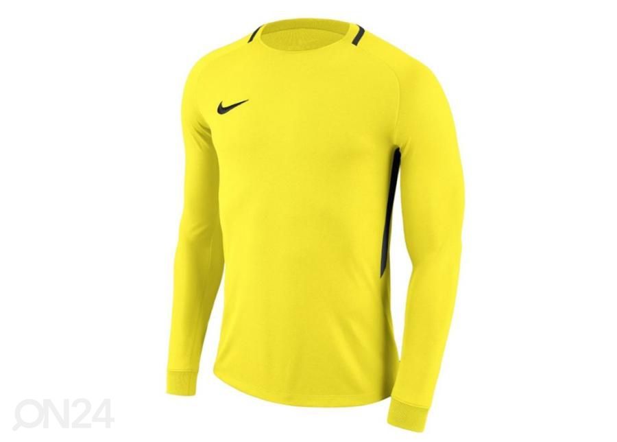 Miesten maalivahdin paita Nike Dry Park III LS M 894509-741 kuvasuurennos