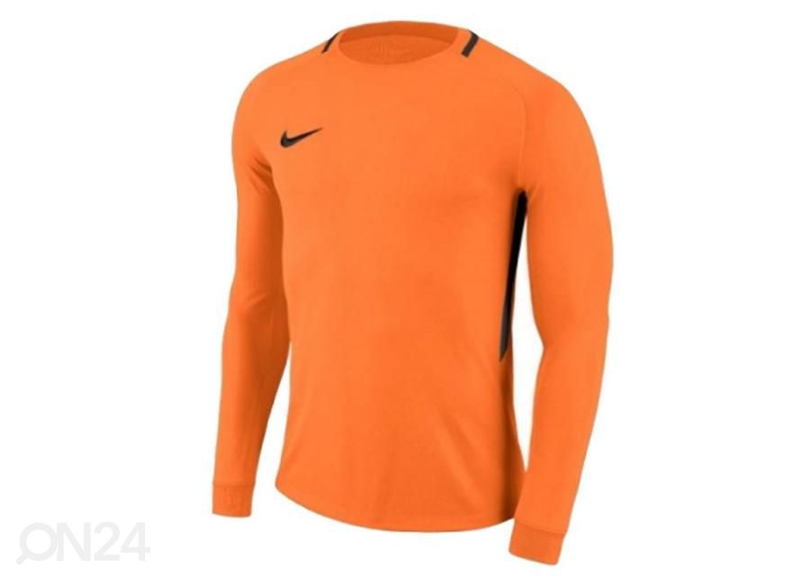Miesten maalivahdin paita Nike Dry Park III LS M 894509-803 kuvasuurennos