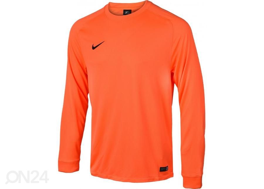 Miesten maalivahdin paita Nike PARK GOALIE II LS M 588418-803 kuvasuurennos