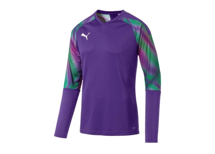Miesten maalivahdin paita Puma CUP GK Jersey LS M 703771-40 kuvasuurennos