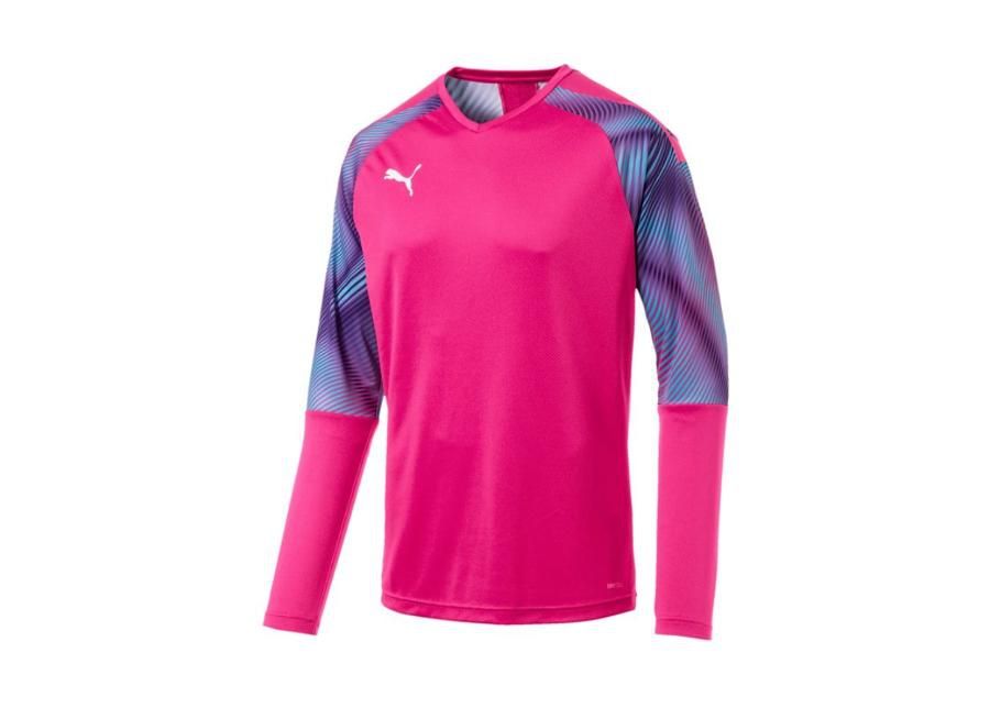 Miesten maalivahdin paita Puma CUP GK Jersey LS M 703771-41 kuvasuurennos