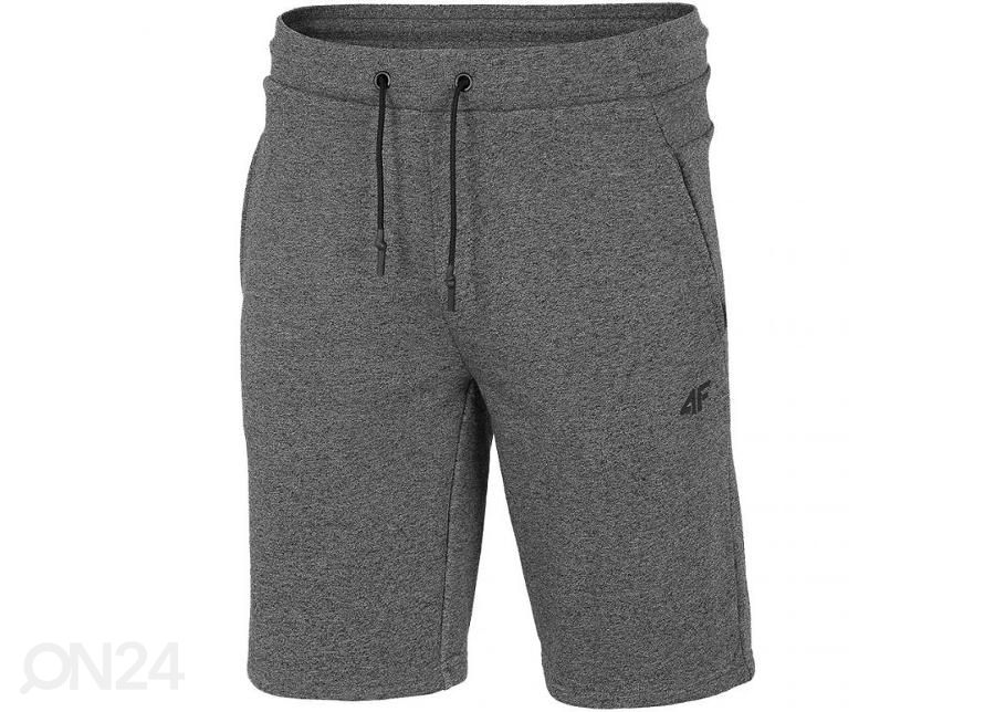 Miesten shortsit 4F kuvasuurennos