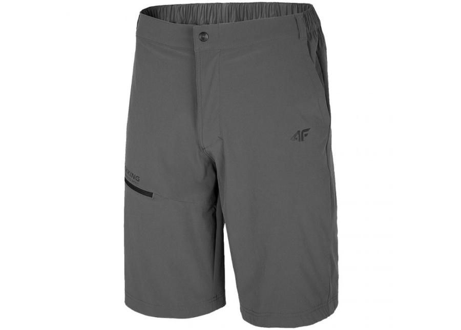 Miesten shortsit 4F M H4L20 SKMF060 23S kuvasuurennos