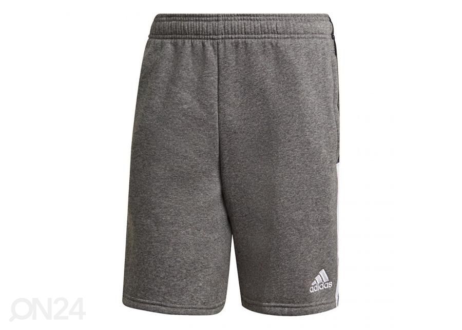 Miesten shortsit Adidas Tiro 21 Sweat kuvasuurennos