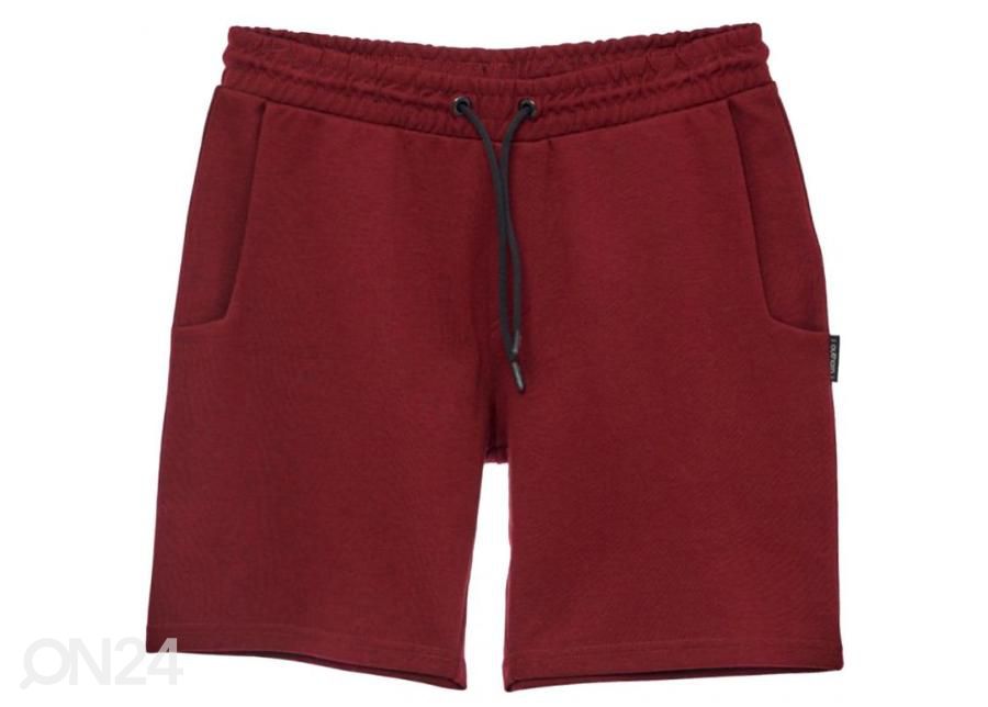 Miesten shortsit Outhorn HOL21 kuvasuurennos