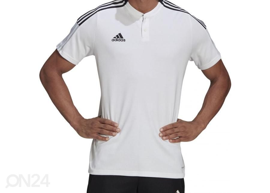 Miesten treenipaita Adidas Tiro 21 Polo kuvasuurennos