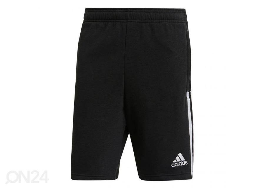 Miesten treenishortsit Adidas Tiro 21 Sweat kuvasuurennos