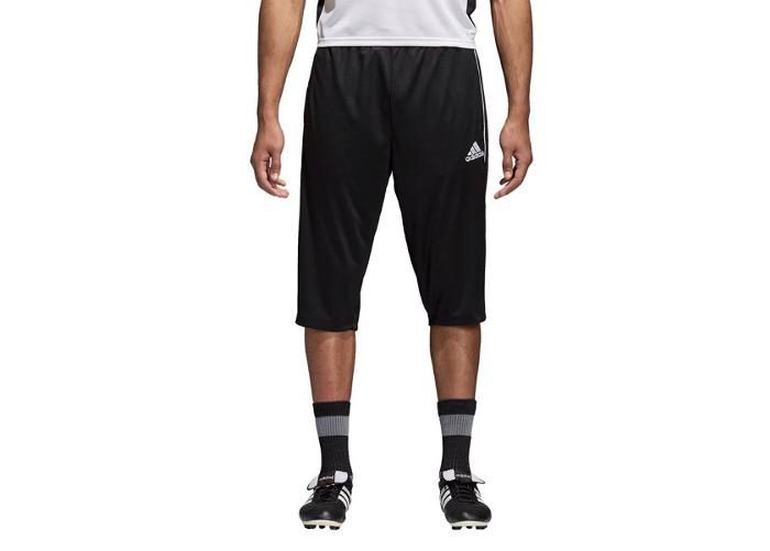 Miesten urheilushortsit adidas Core 18 3/4 PNT M CE9032 kuvasuurennos