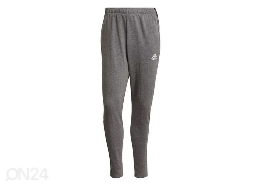 Miesten verryttelyhousut Adidas Tiro 21 Sweat kuvasuurennos