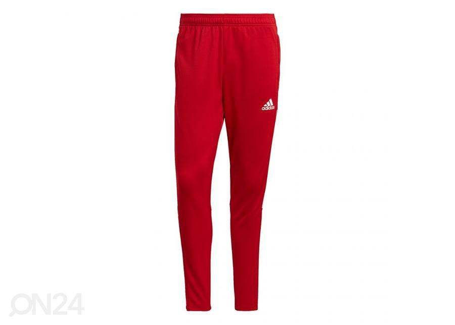 Miesten verryttelyhousut Adidas Tiro 21 Training kuvasuurennos