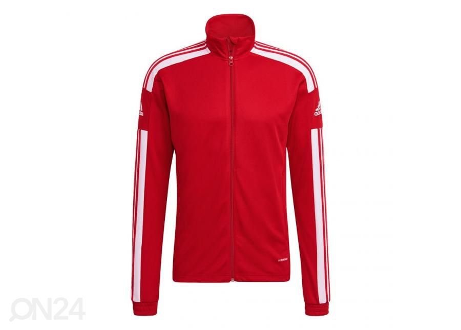 Miesten verryttelytakki Adidas Squadra 21 Training kuvasuurennos