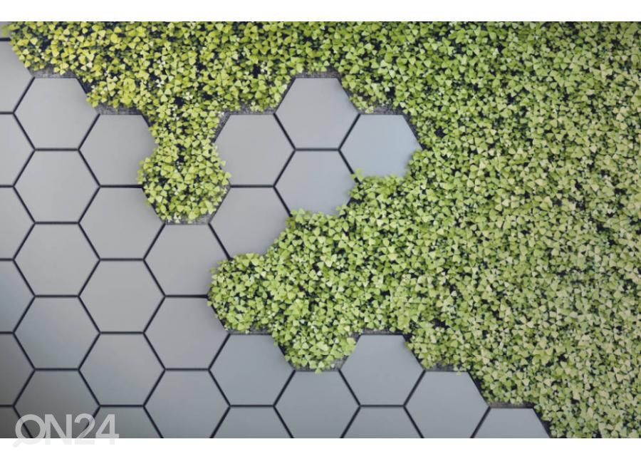 Non-woven kuvatapetti 3D Green Vertical Garden 368x254 cm kuvasuurennos