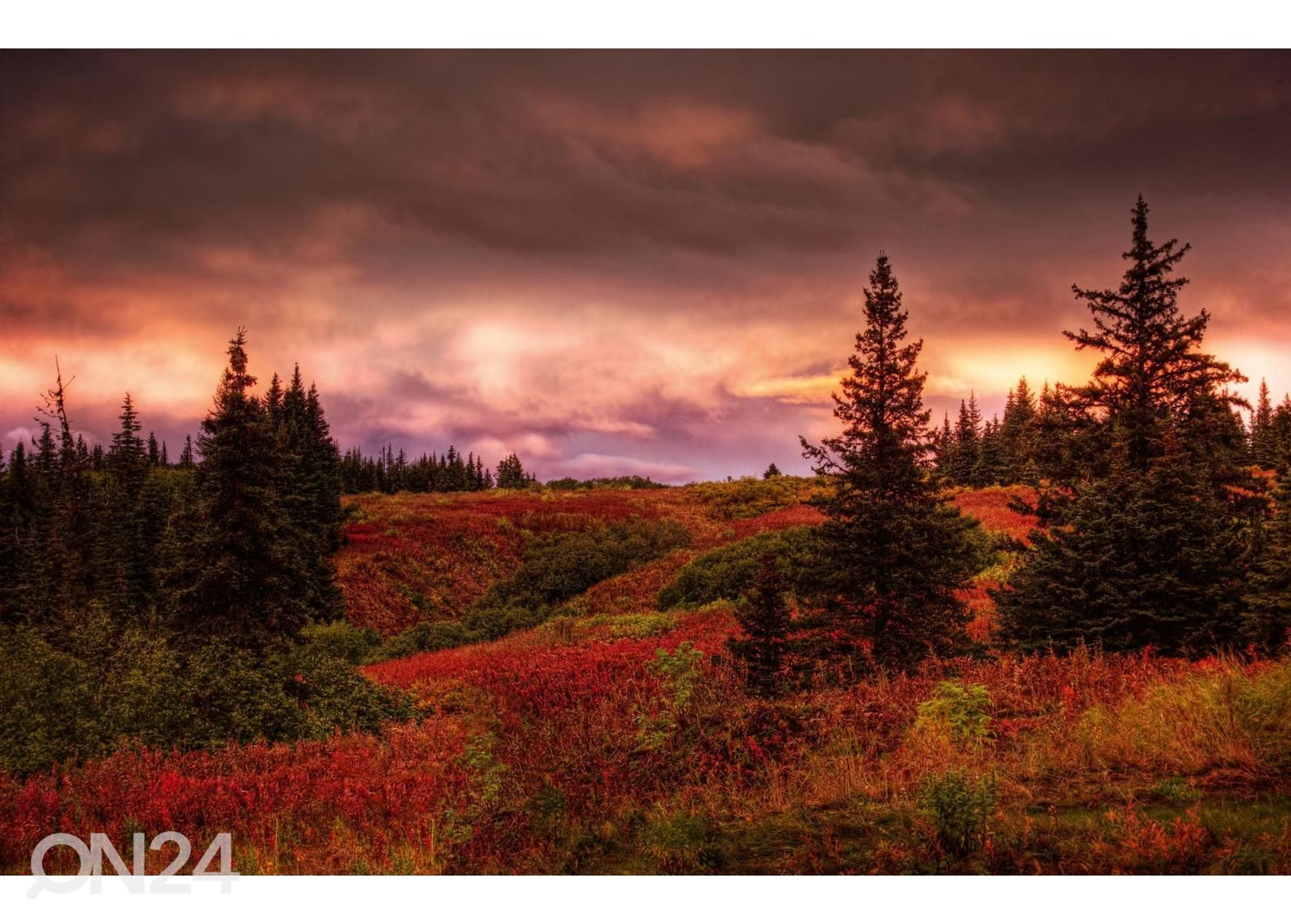 Non-woven kuvatapetti Alaska Sunset kuvasuurennos
