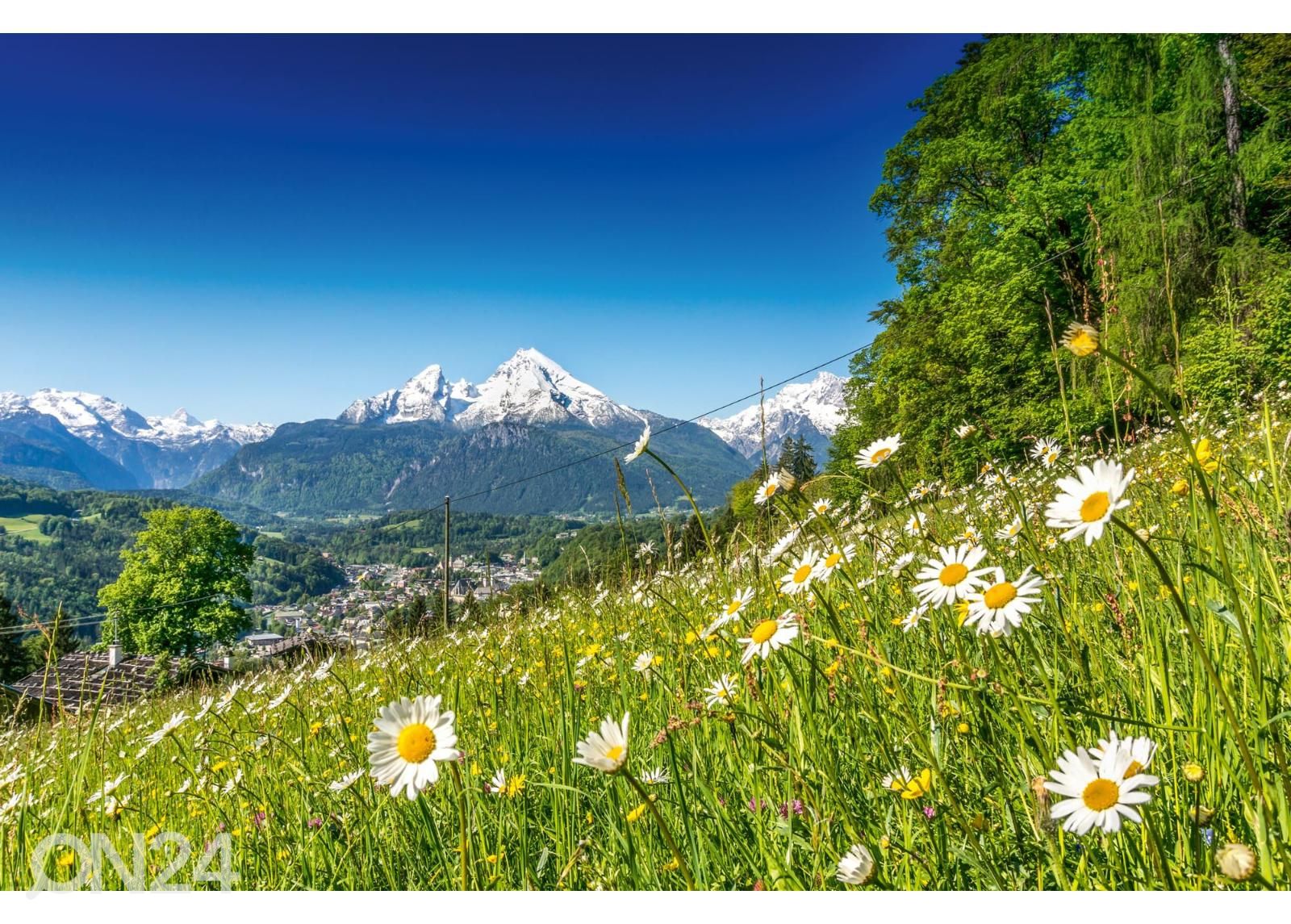 Non-woven kuvatapetti Alpine Landscape kuvasuurennos
