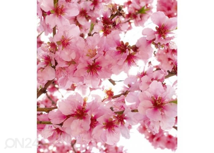 Non-woven kuvatapetti Apple blossom 225x250 cm kuvasuurennos
