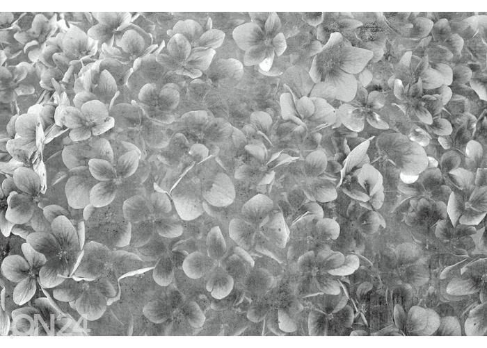 Non-woven kuvatapetti Apple Tree Abstract III 150x250 cm kuvasuurennos