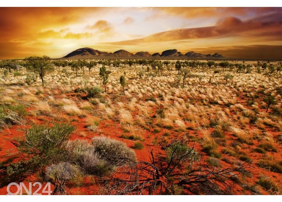 Non-woven kuvatapetti Australian landscape 375x250 cm kuvasuurennos