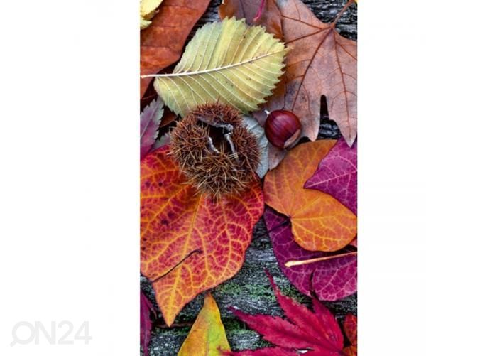 Non-woven kuvatapetti Autumn leaves 150x250 cm kuvasuurennos