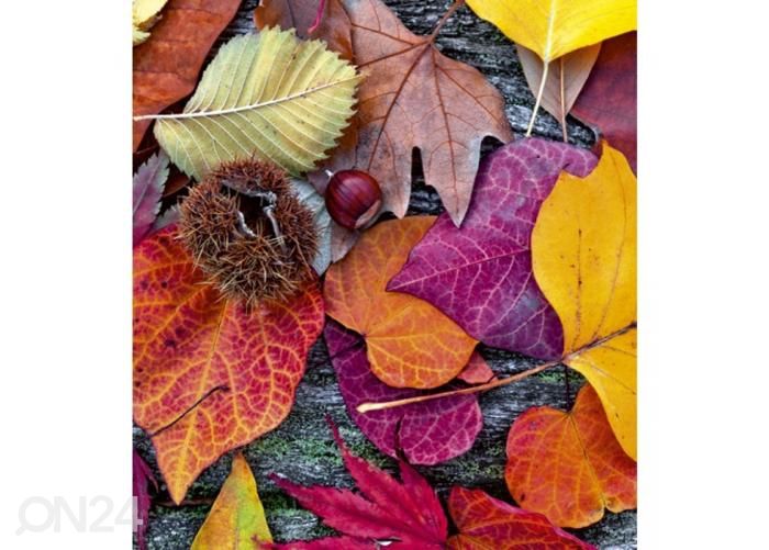 Non-woven kuvatapetti Autumn leaves 225x250 cm kuvasuurennos