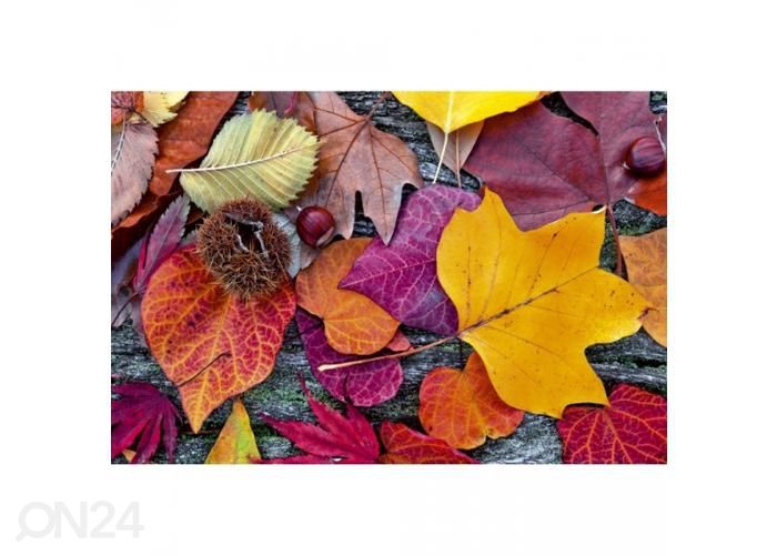 Non-woven kuvatapetti Autumn leaves 375x250 cm kuvasuurennos