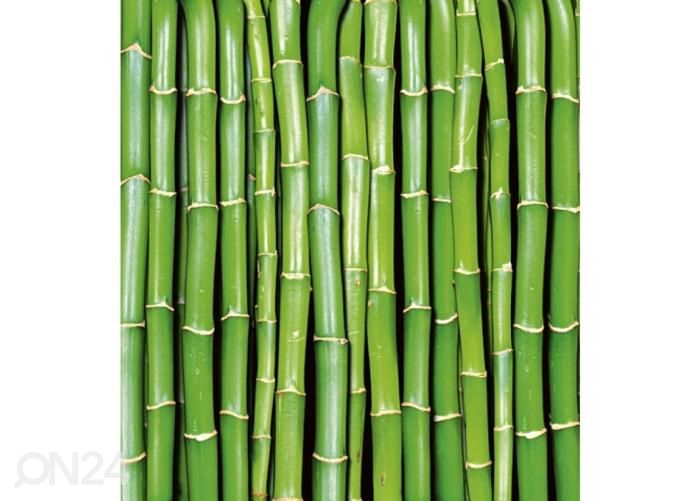 Non-woven kuvatapetti Bamboo 225x250 cm kuvasuurennos