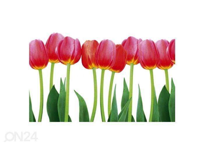 Non-woven kuvatapetti Bed of tulips 375x250 cm kuvasuurennos