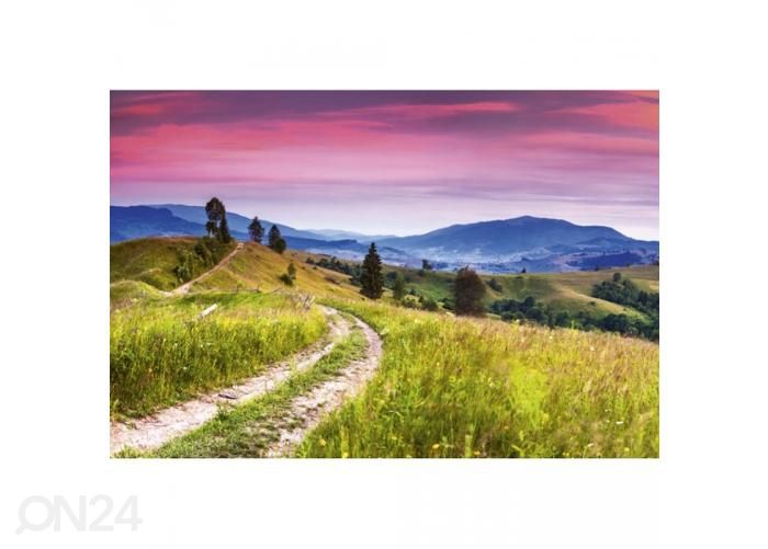 Non-woven kuvatapetti Blooming hills 375x250 cm kuvasuurennos
