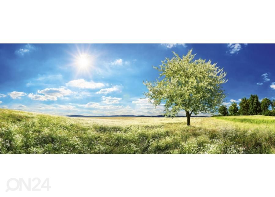 Non-woven kuvatapetti Blossom tree 375x150 cm kuvasuurennos