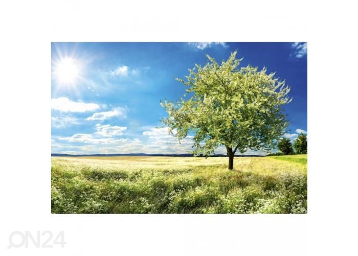 Non-woven kuvatapetti Blossom tree 375x250 cm kuvasuurennos