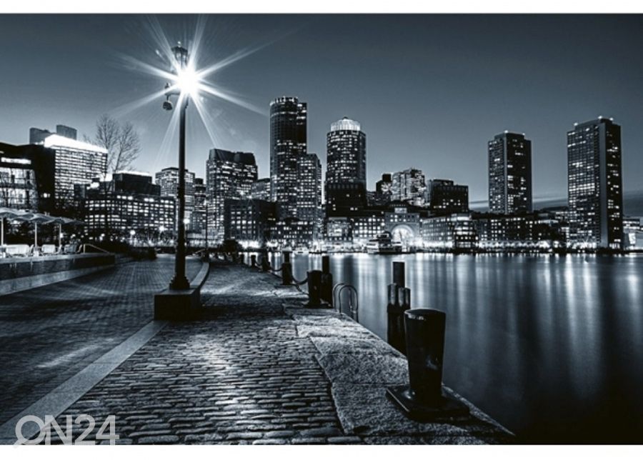 Non-woven kuvatapetti Boston 150x250 cm kuvasuurennos