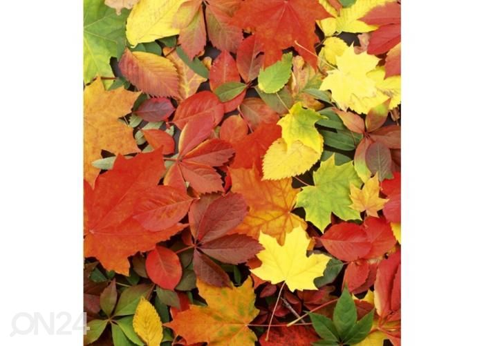 Non-woven kuvatapetti Colourful leaves 225x250 cm kuvasuurennos