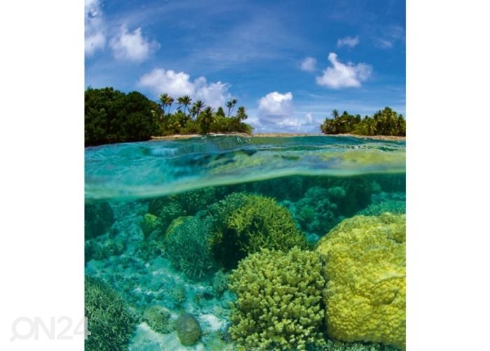 Non-woven kuvatapetti Coral reef 225x250 cm kuvasuurennos