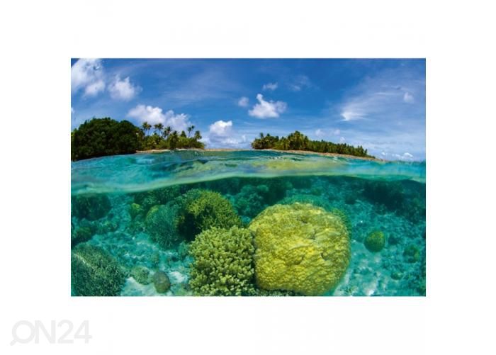 Non-woven kuvatapetti Coral reef 375x250 cm kuvasuurennos
